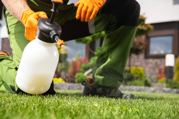 Best Pest Control for Restaurants  in Guthrie Center, IA