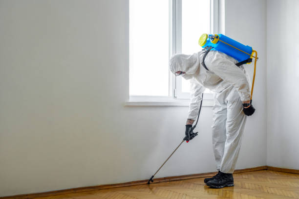 Best Wasp Removal Services  in Guthrie Center, IA