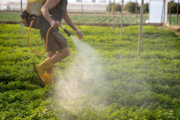 Best Local Pest Control Services  in Guthrie Center, IA