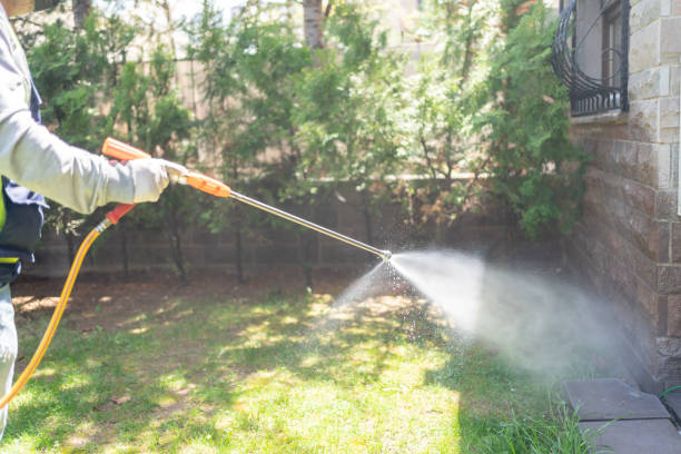 Best Insect Control  in Guthrie Center, IA