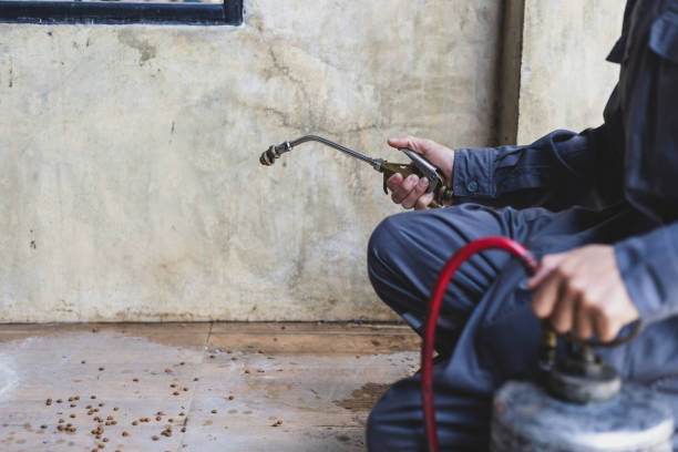 Best Pest Prevention Services  in Guthrie Center, IA