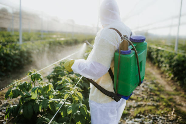 Trusted Guthrie Center, IA Pest Control Experts